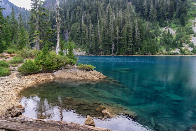 Lago circondato dalle montagne canadesi