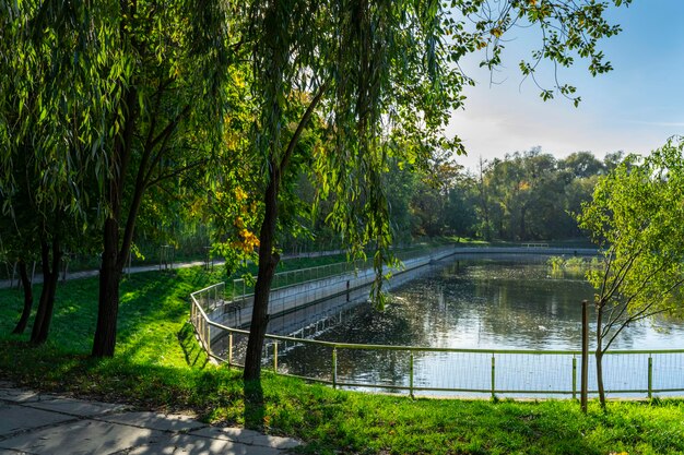 Lago cittadino nel parco centrale