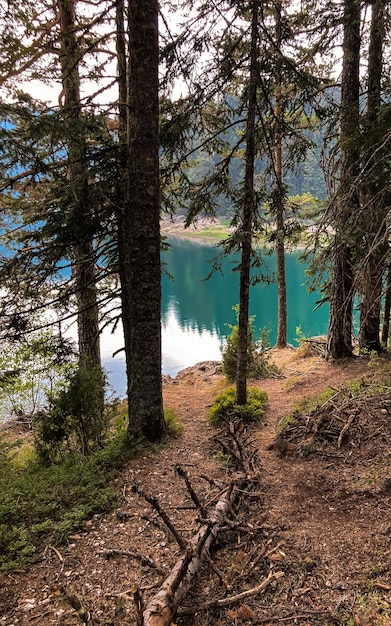 Lago con acqua blu in una foresta di conifere