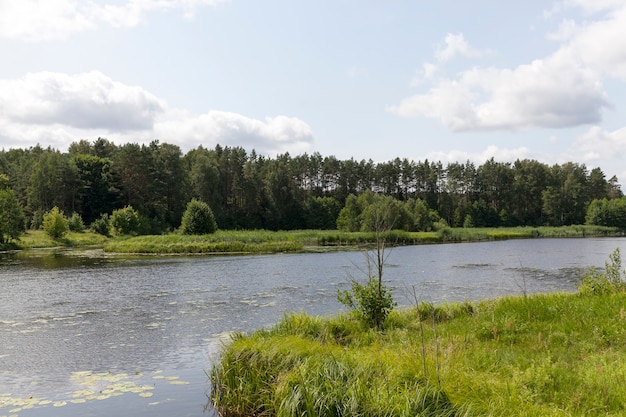 Lago con acqua sporca in estate