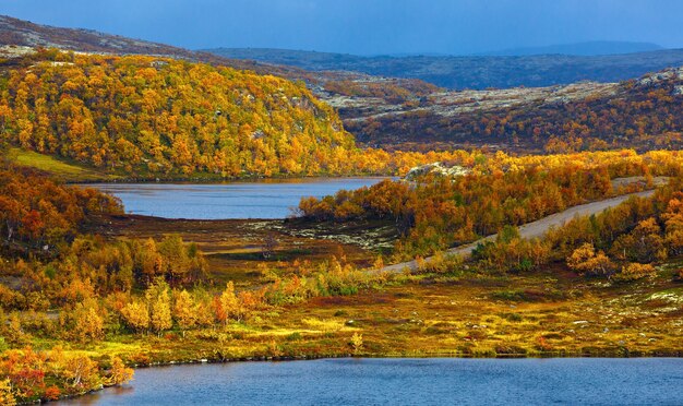 Lago con vegetazione nella tundra in autunno. Penisola di Kola, Russia.