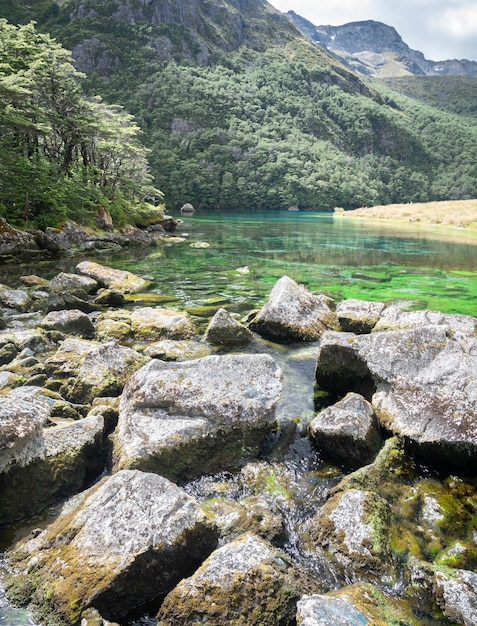 Lago cristallino con colori incredibili ritratto realizzato nel parco nazionale dei laghi di Nelson, Nuova Zelanda