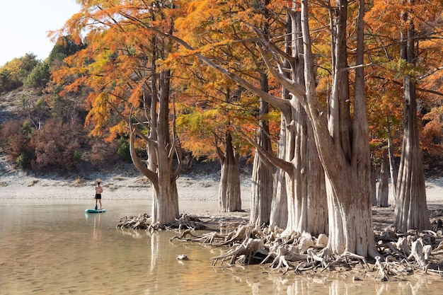 Lago dei cipressi a Succo Attrazioni Anapa