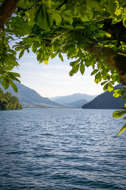Lago dei Quattro Cantoni in lontananza puoi vedere un'isola di montagnaLascia le immagini una cornice