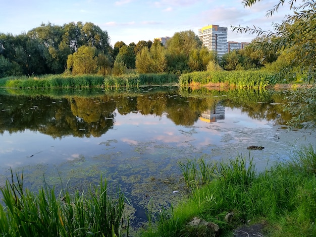 Lago della città nella sera d'estate