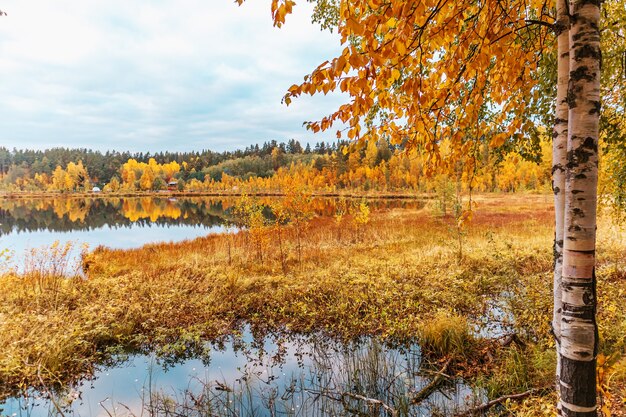 Lago della foresta in autunno. Colorato paesaggio autunnale, tranquillità, viaggi.