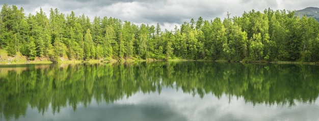 Lago della foresta selvaggia con bella riflessione