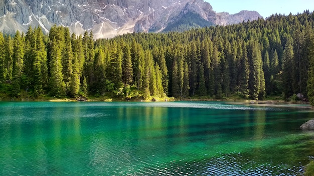 Lago di Carezza (Karersee), un bellissimo lago nelle Dolomiti, Trentino Alto Adige, Italia