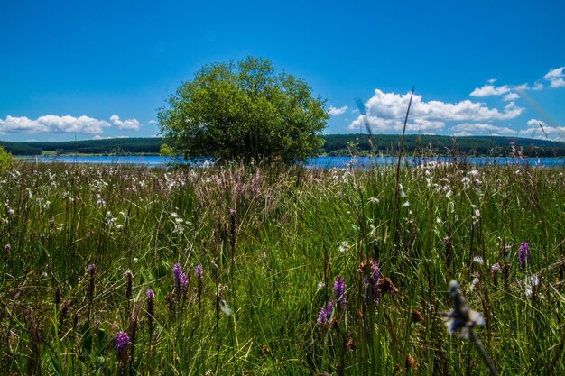 Lago di charpal lozerefrance