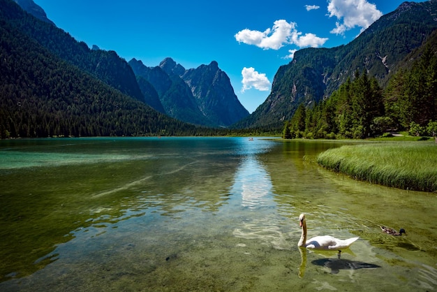 Lago di Dobbiaco nelle Dolomiti, Beautiful Nature Italia paesaggio naturale Alpi.