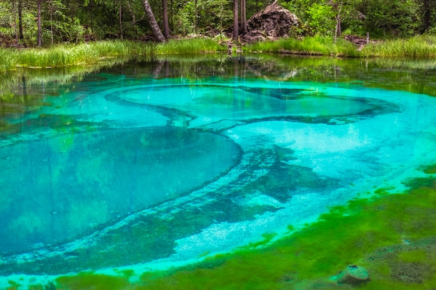 Lago di geyser con acque turchesi limpide e macchie di limo sul fondo