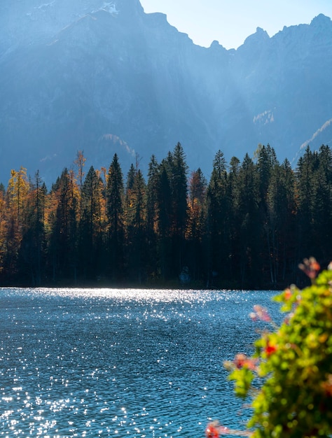 Lago di montagna, alberi autunnali e montagne imponenti alla luce del sole