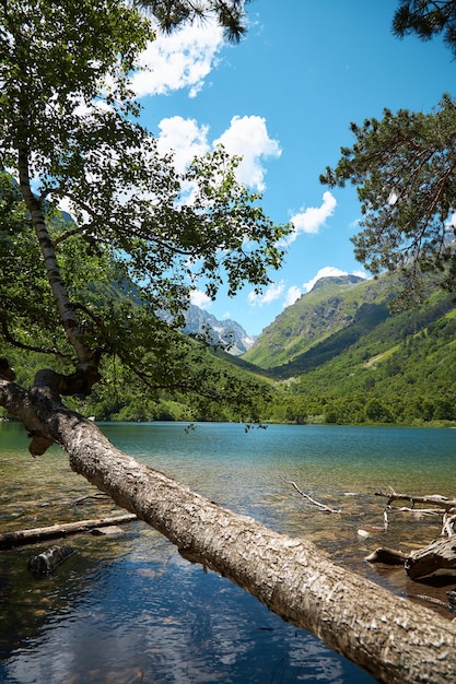Lago di montagna con acqua limpida in lontananza montagne e pendii alberi verdi in pietre d'acqua e rami sul fondo del fiume