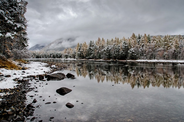 Lago di montagna Froliha, pino e pietre con neve nel lago specchio