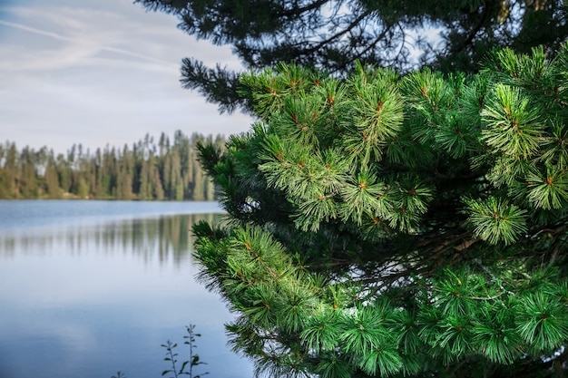 Lago di montagna in Alti Tatra