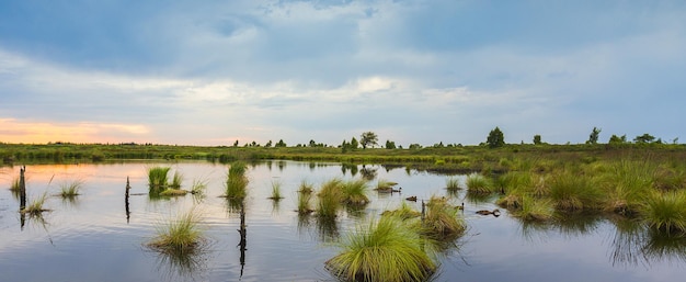 Lago di palude con tramonto in Belgio Veen paesaggio