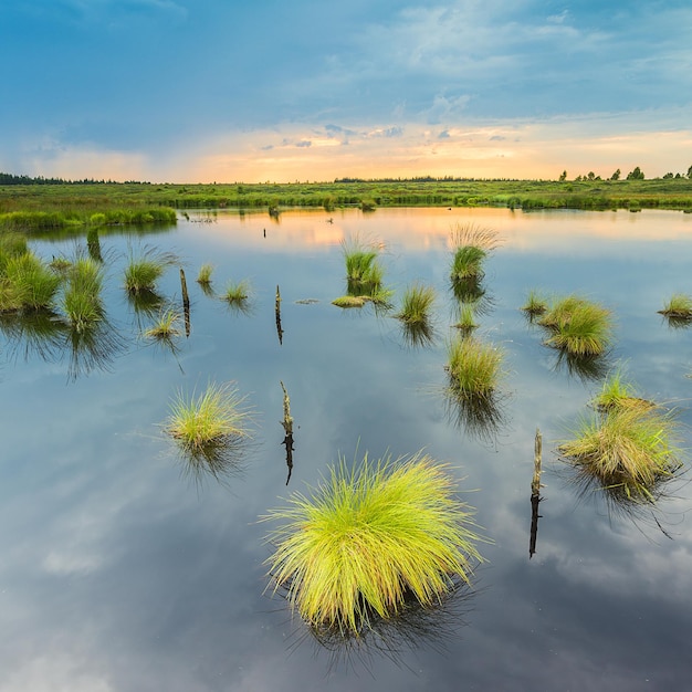 Lago di palude con tramonto in Belgio Veen paesaggio