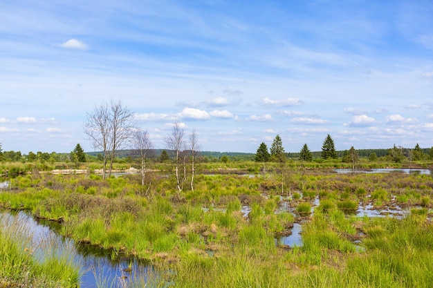 Lago di palude in Belgio Veen con cielo nuvoloso