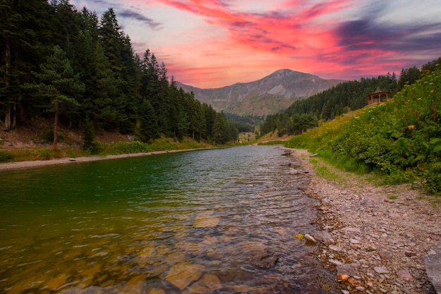 Lago di pesce del distretto di Savsat della provincia di Artvin.