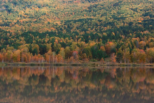 Lago di riflessi autunnali