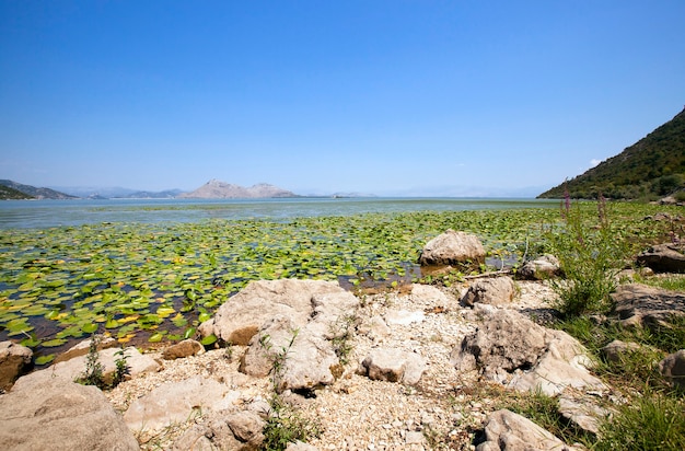 Lago di Scutari in estate. Montenegro