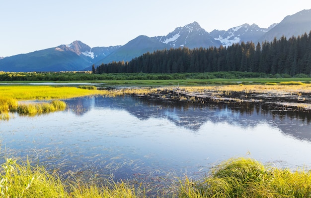 Lago di serenità nella tundra dell'Alaska