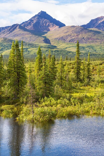 Lago di serenità nella tundra dell'Alaska