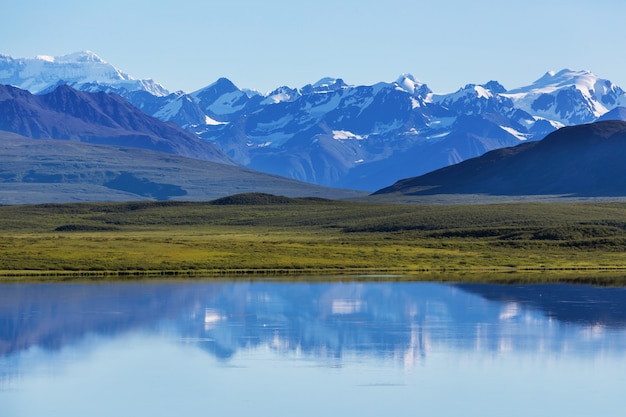 Lago di serenità nella tundra in Alaska