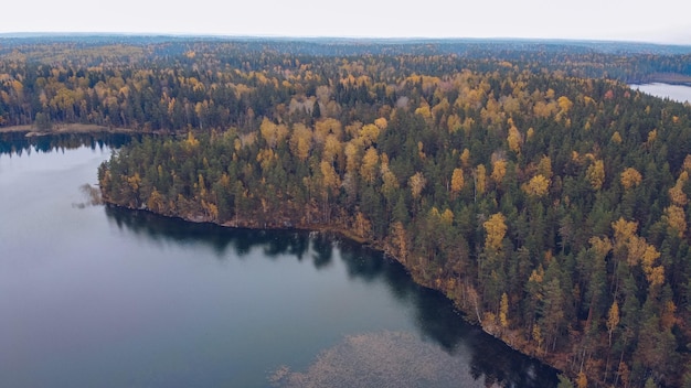 Lago e foresta in Carelia tra larici Russia Bellissimo paesaggio di stagione autunnale con fiume e foresta stock photography