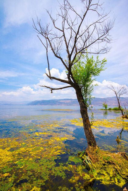 Lago Erhai a Dali Yunnan in Cina