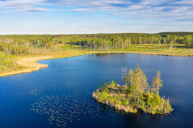 Lago forest con la vista aerea dell'isola.