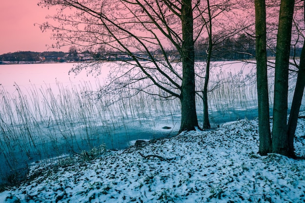 Lago ghiacciato in inverno