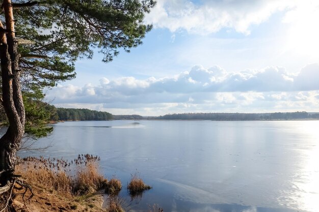 Lago ghiacciato in un soleggiato giorno d'inverno alberi sulla riva