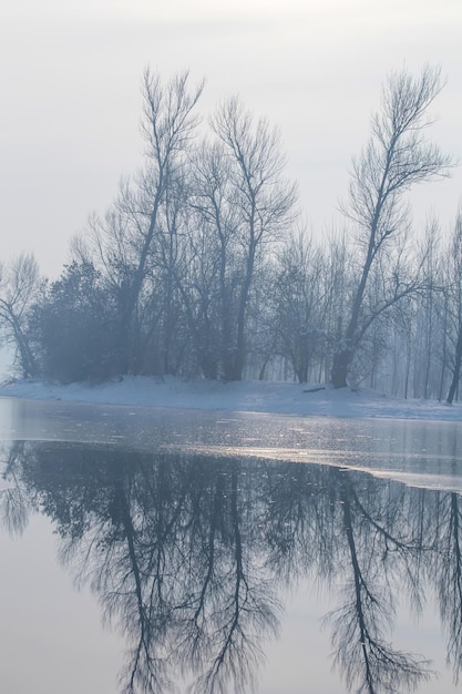 Lago ghiacciato nella riflessione del sole della foresta, paesaggio di riflessione invernale