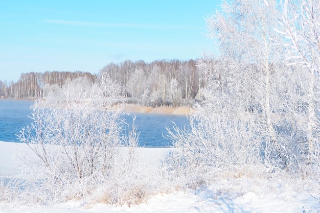 Lago ghiacciato paesaggio invernale, bosco innevato e bel cielo nuvoloso.