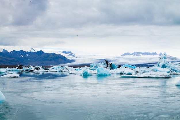 Lago glaciale Jokulsarlon, Islanda. Iceberg che galleggiano sull'acqua. Paesaggio islandese