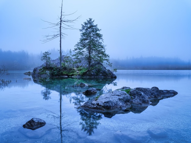 Lago Hintersea Germania Paesaggio durante la nebbia Lago e alberi Riflessione sulla superficie dell'acqua Foto ad alta risoluzione