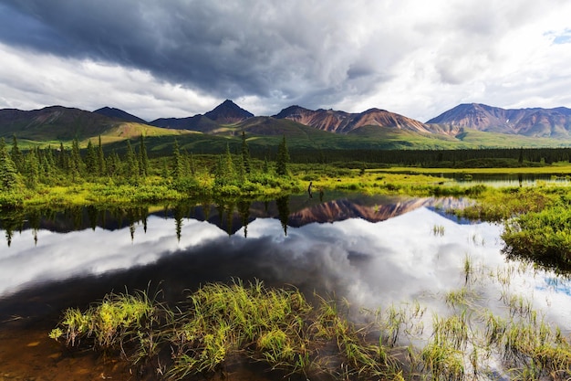 Lago in Alaska