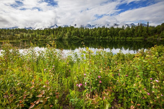 Lago in Alaska