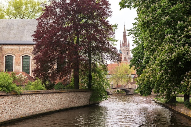 Lago in Begijnhof della città di Bruges, Belgio