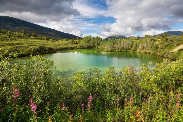 Lago in Canada