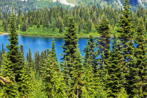 lago in montagna