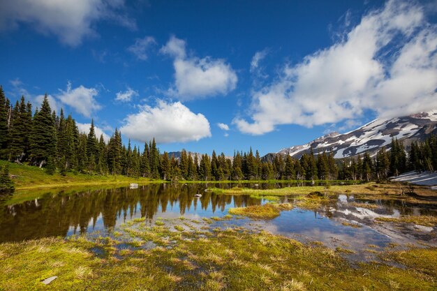 lago in montagna