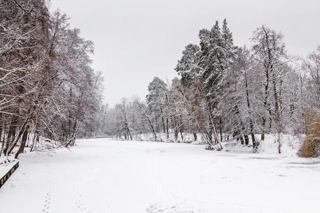 Lago invernale coperto di ghiaccio e neve