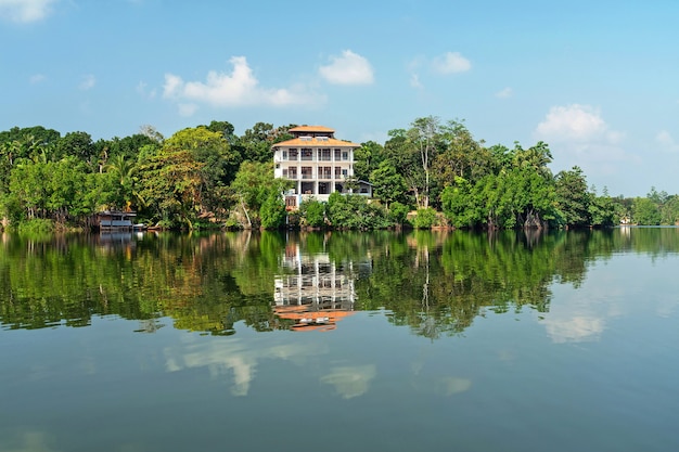 Lago Kiggala, hotel in alberi di mangrovie con riflessione