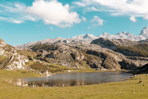 Lago La Ercina nel parco naturale dei monti Covadonga nei Picos de Europa Asturias Spagna