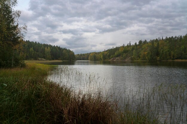 Lago Ladoga vicino al villaggio Lumivaara in una soleggiata giornata autunnale Ladoga skerries Lahdenpohya Carelia Russia