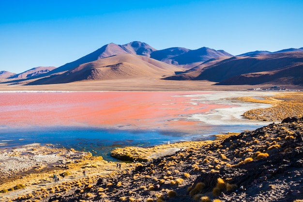 Lago Laguna Colorada