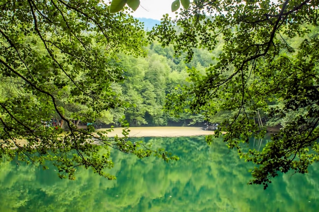 Lago nascosto nella foresta Turchia Bolu Yedigoller All'aperto vista sul lago