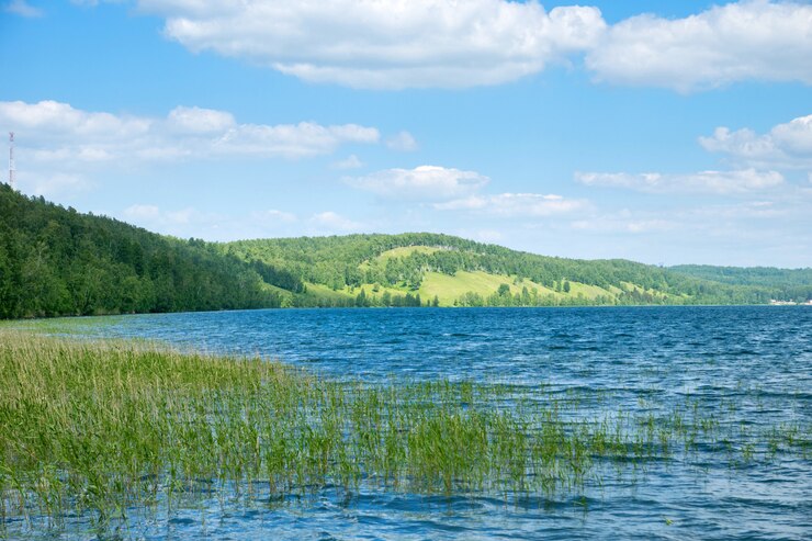 Lago naturale vicino alla foresta un giorno soleggiato
